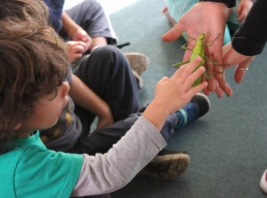 IMG_0903